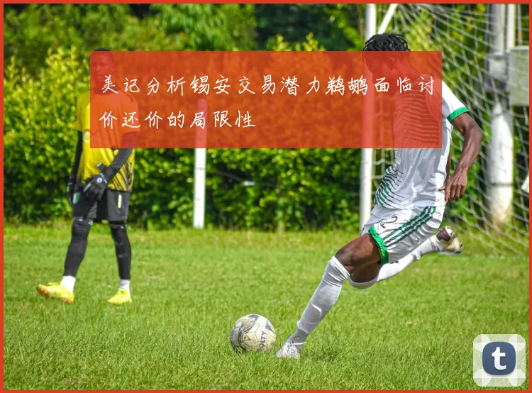 美记分析锡安交易潜力鹈鹕面临讨价还价的局限性