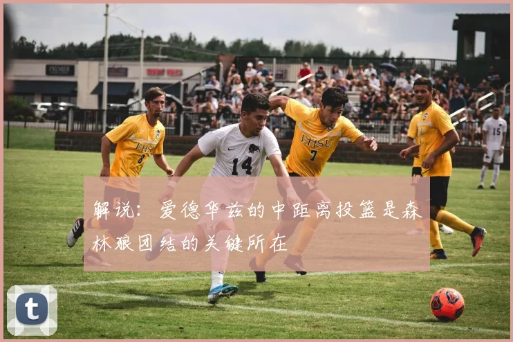解说：爱德华兹的中距离投篮是森林狼团结的关键所在