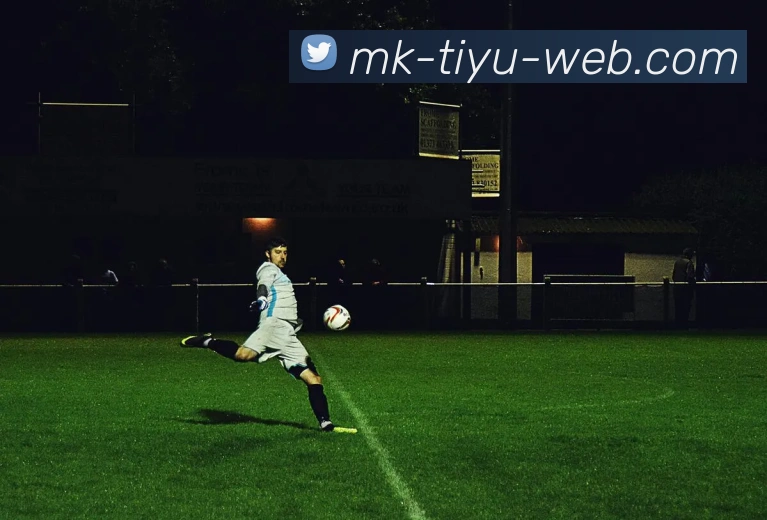 MK体育平台生态图