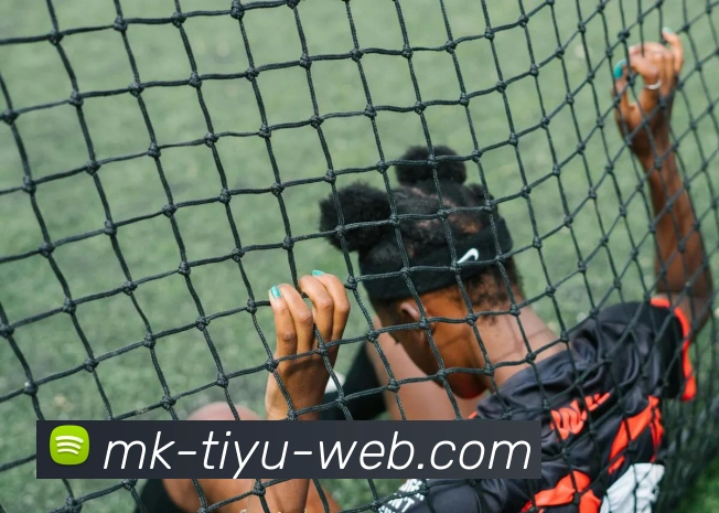 MK体育APP 封面图