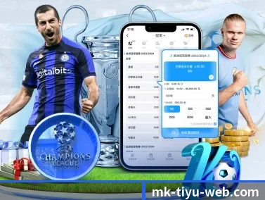 MK体育 APP（MKSPORTS）